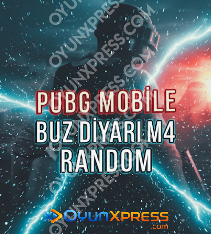 PUBG Mobile Buz Diyarı M4 Garanti Random Ürünü Resmi